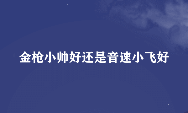 金枪小帅好还是音速小飞好