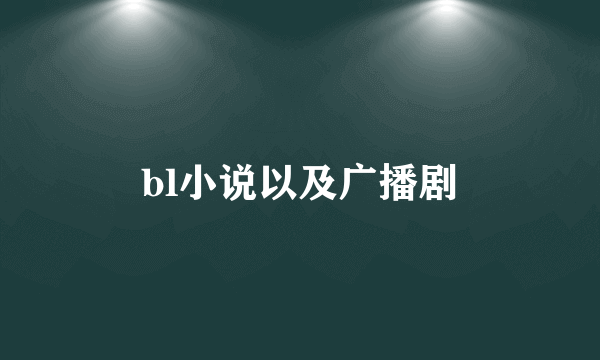 bl小说以及广播剧