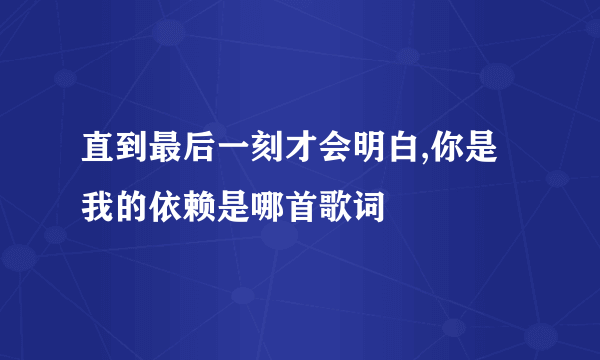 直到最后一刻才会明白,你是我的依赖是哪首歌词