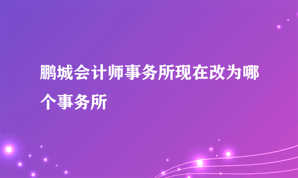 鹏城会计师事务所现在改为哪个事务所