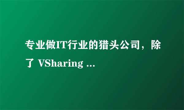 专业做IT行业的猎头公司，除了 VSharing 猎头公司，还有哪个么。。