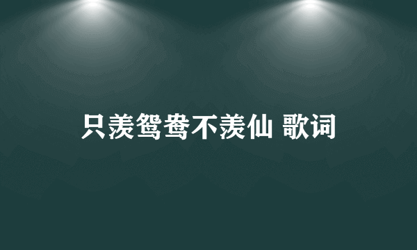 只羡鸳鸯不羡仙 歌词