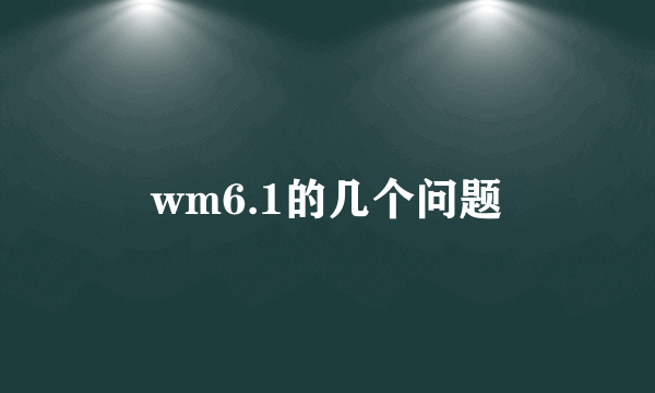 wm6.1的几个问题