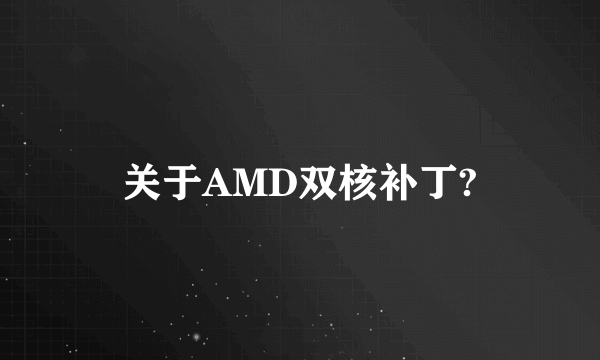 关于AMD双核补丁?