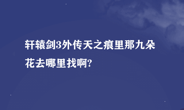 轩辕剑3外传天之痕里那九朵花去哪里找啊?