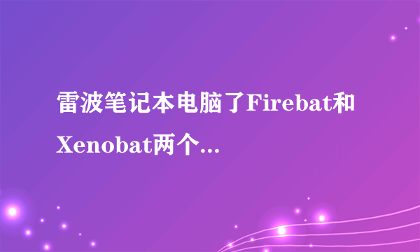 雷波笔记本电脑了Firebat和Xenobat两个系列有什么区别？？