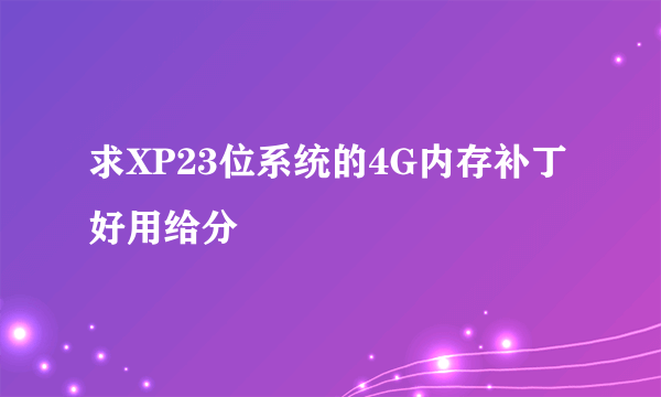 求XP23位系统的4G内存补丁 好用给分