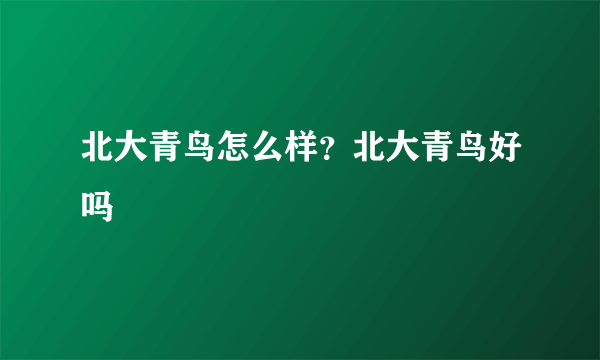 北大青鸟怎么样？北大青鸟好吗