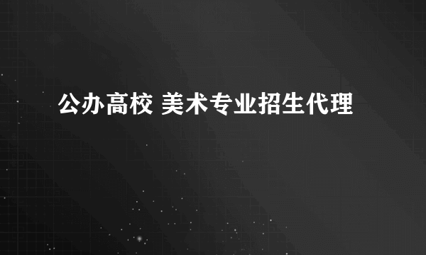 公办高校 美术专业招生代理