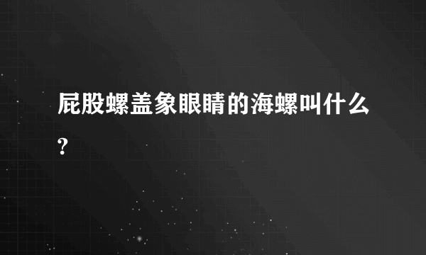 屁股螺盖象眼睛的海螺叫什么?