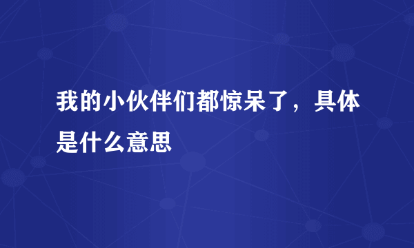 我的小伙伴们都惊呆了，具体是什么意思