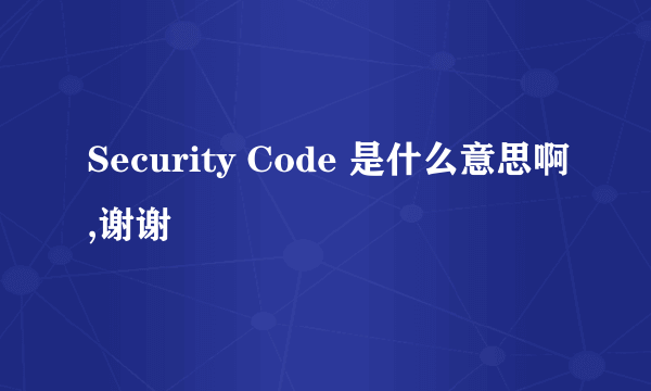 Security Code 是什么意思啊,谢谢