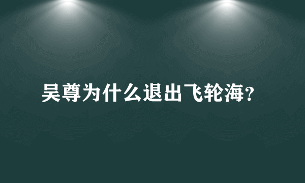 吴尊为什么退出飞轮海？