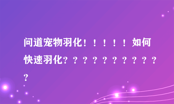 问道宠物羽化！！！！！如何快速羽化？？？？？？？？？？？