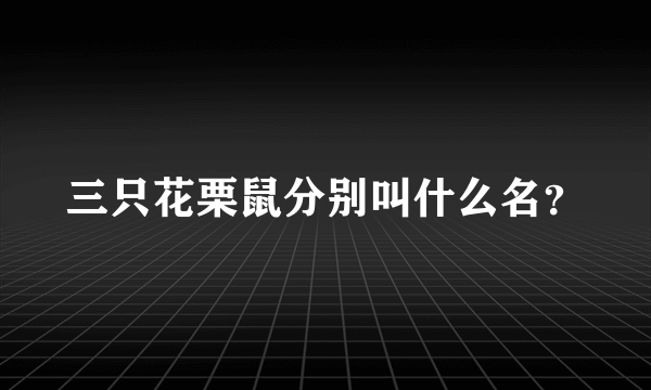 三只花栗鼠分别叫什么名？