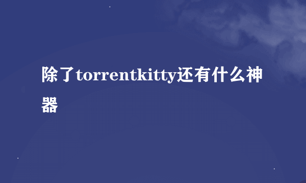 除了torrentkitty还有什么神器