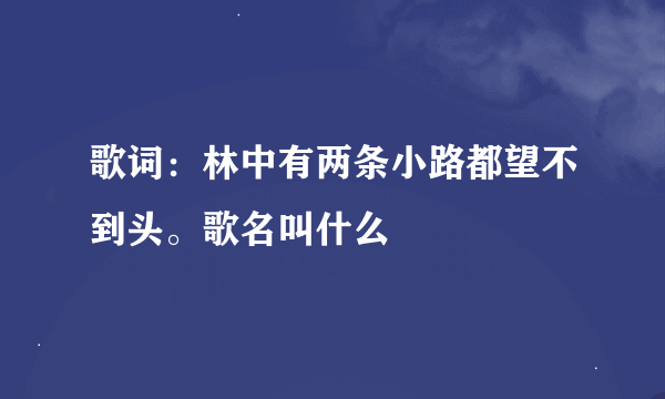 歌词：林中有两条小路都望不到头。歌名叫什么