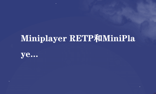 Miniplayer RETP和MiniPlayer SL的不同