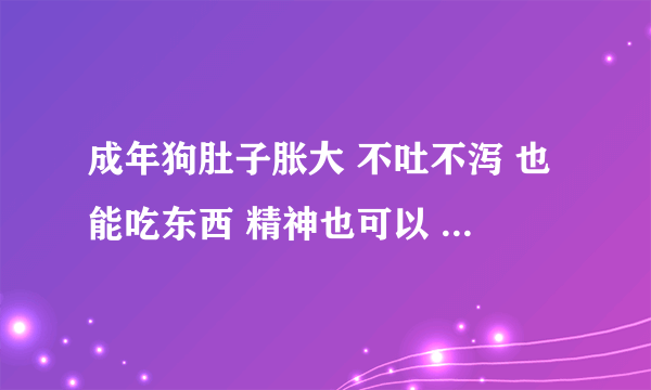 成年狗肚子胀大 不吐不泻 也能吃东西 精神也可以 这是怎么回事？