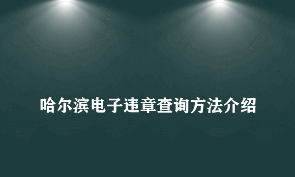 
哈尔滨电子违章查询方法介绍
