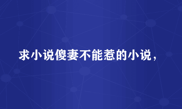 求小说傻妻不能惹的小说，