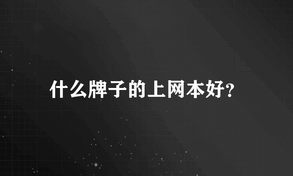 什么牌子的上网本好？