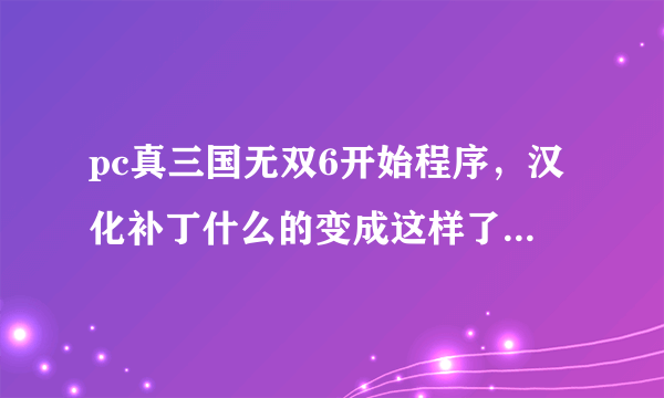 pc真三国无双6开始程序，汉化补丁什么的变成这样了，打不开，求大侠帮助。或给我发一个，就这三项。