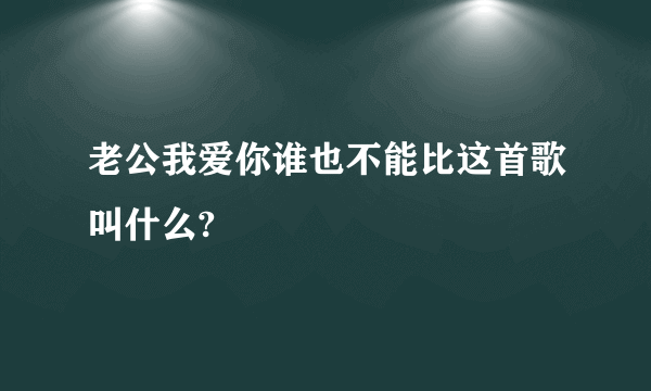 老公我爱你谁也不能比这首歌叫什么?