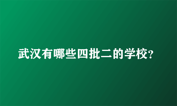 武汉有哪些四批二的学校？