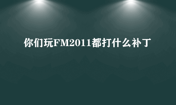 你们玩FM2011都打什么补丁