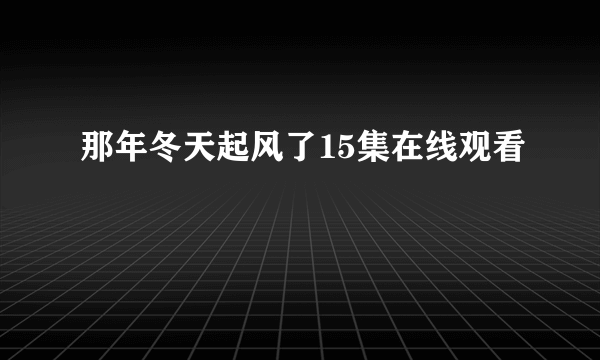 那年冬天起风了15集在线观看