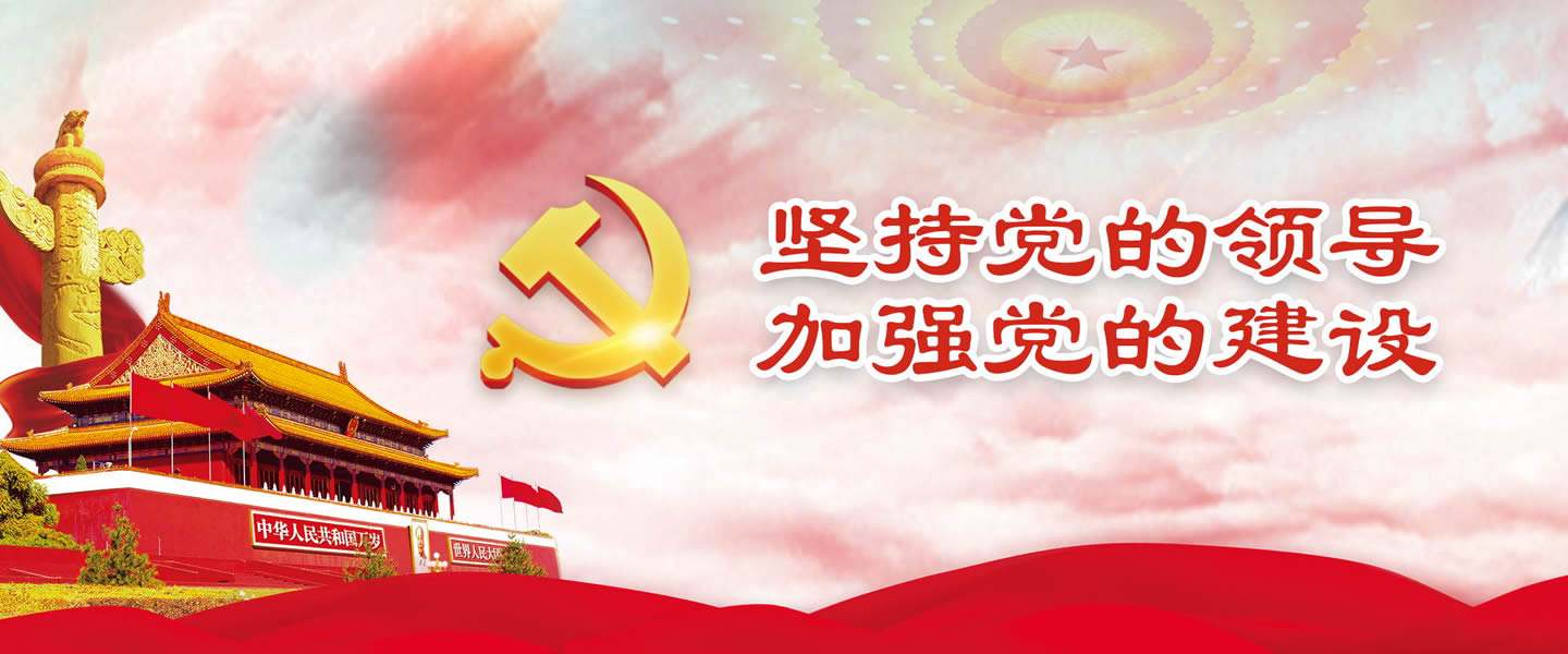 新时代党的建设的总要求是什么