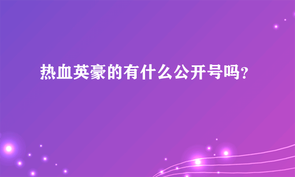 热血英豪的有什么公开号吗？