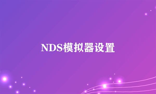 NDS模拟器设置