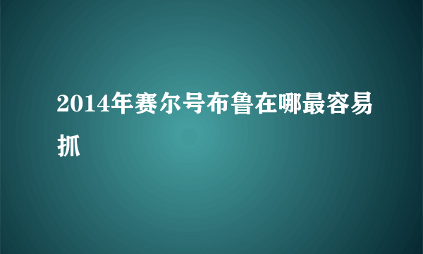 2014年赛尔号布鲁在哪最容易抓