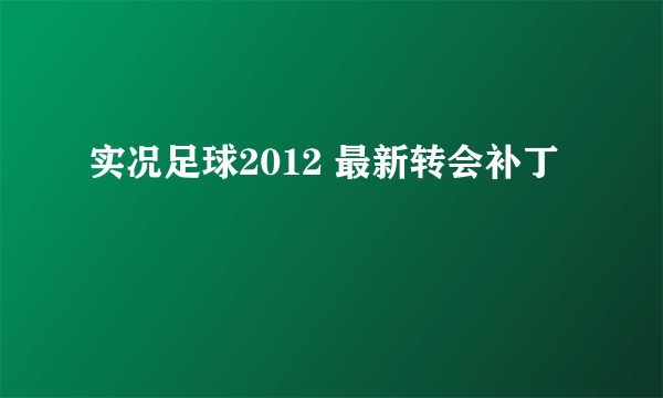 实况足球2012 最新转会补丁