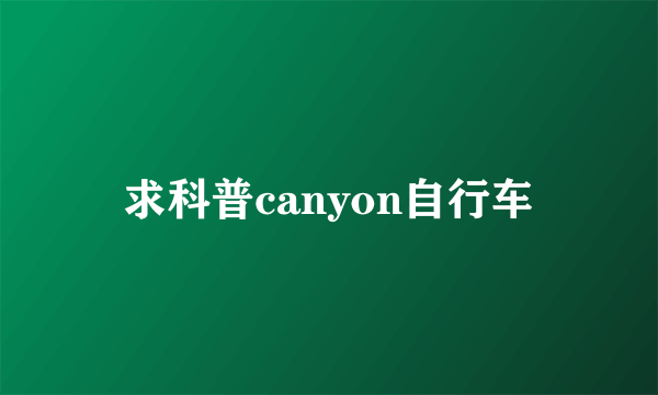 求科普canyon自行车