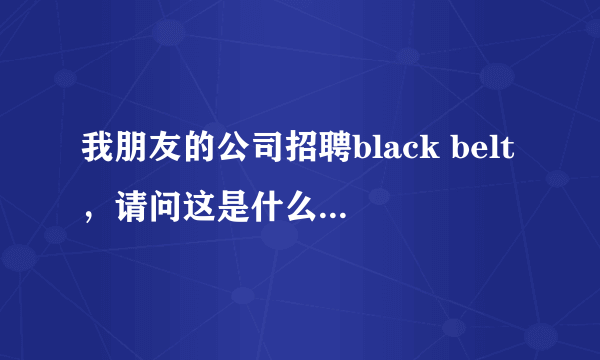 我朋友的公司招聘black belt，请问这是什么性质的工作啊？