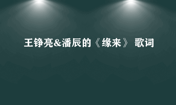 王铮亮&潘辰的《缘来》 歌词