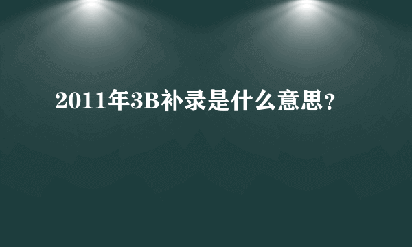 2011年3B补录是什么意思？