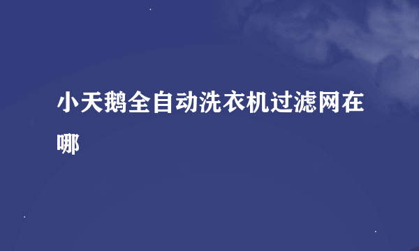 小天鹅全自动洗衣机过滤网在哪