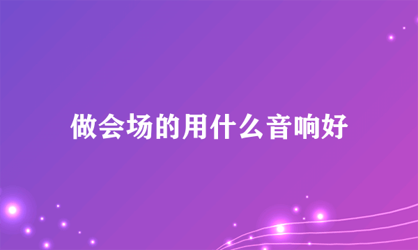 做会场的用什么音响好