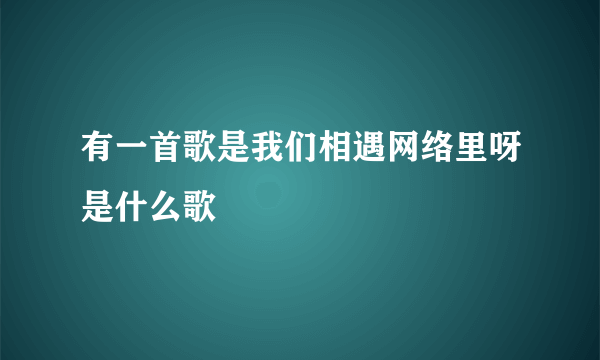 有一首歌是我们相遇网络里呀是什么歌