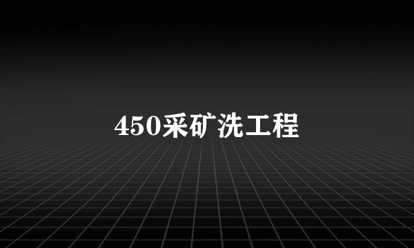 450采矿洗工程