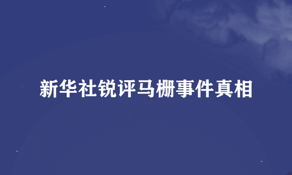 新华社锐评马栅事件真相