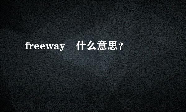 freeway 什么意思？