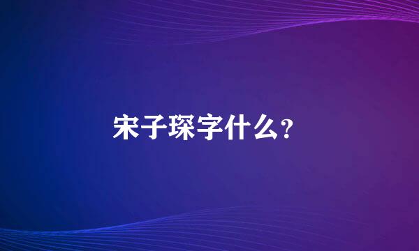 宋子琛字什么？