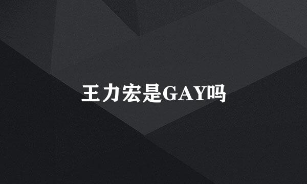 王力宏是GAY吗