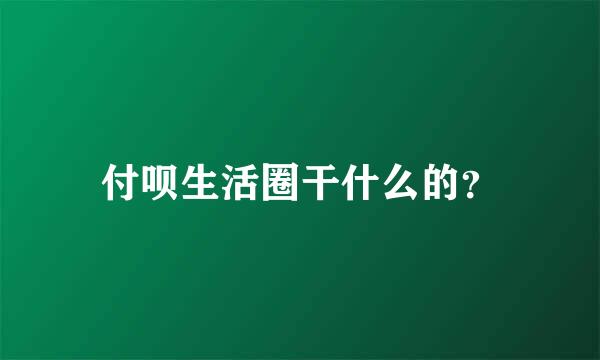 付呗生活圈干什么的？