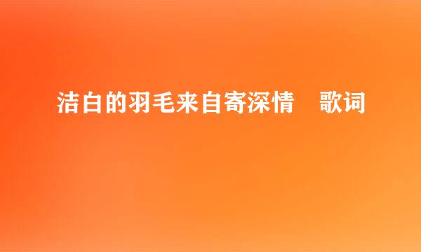 洁白的羽毛来自寄深情 歌词